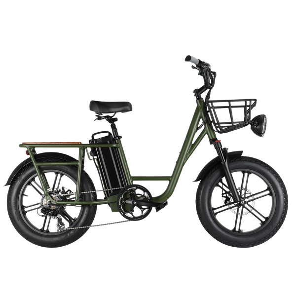 FIIDO T1 Pro 750W Electric Cargo Bike