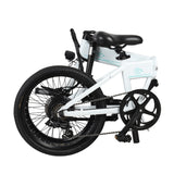 FIIDO D4S Foldable Electric Bike
