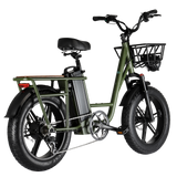 FIIDO T1 Pro 750W Electric Cargo Bike